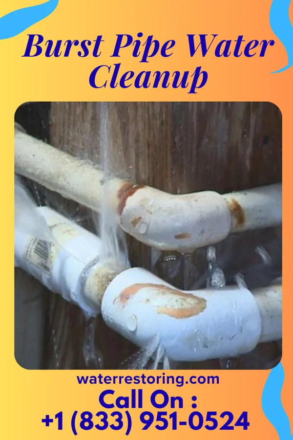 Burst Pipe Water Cleanup in Sumner, MO
