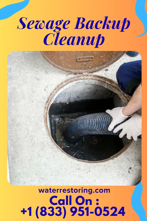 Sewage Backup Cleanup in Sumner, MO