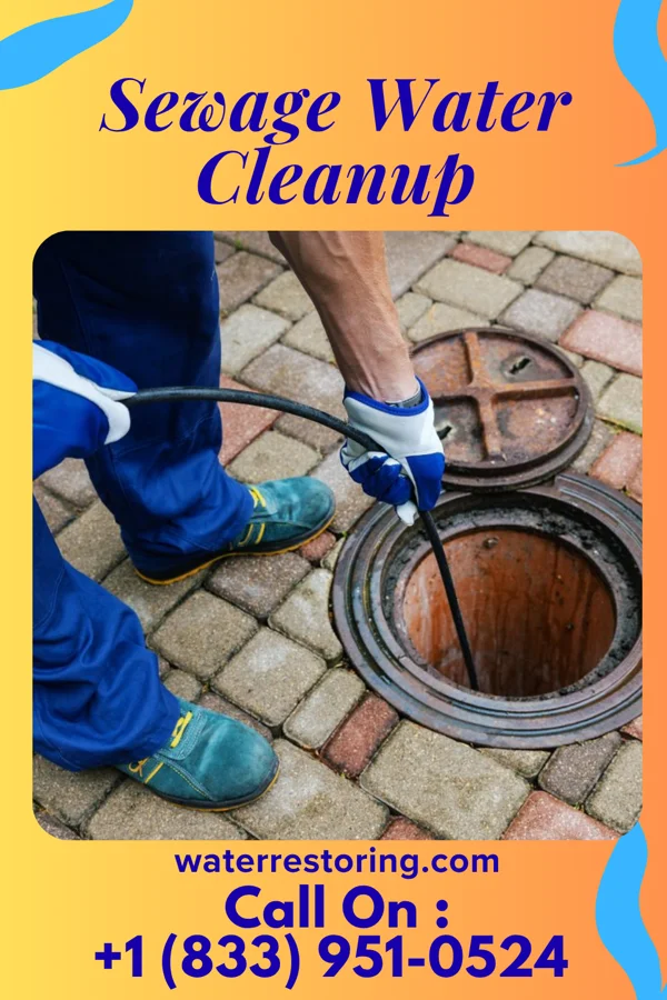 Sewage Water Cleanup in Sumner, MO